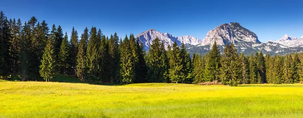Fotobehang bergen landschap © Leonid Tit