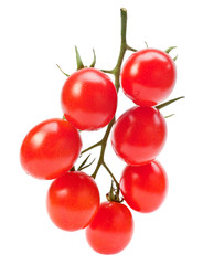Branch red cherry tomatoes