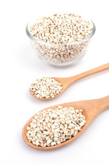 Millet