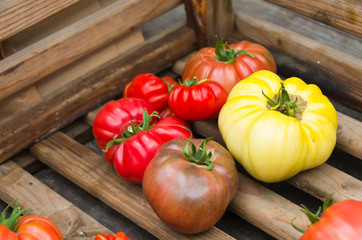 Fresh tomatoes