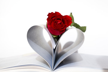 Rose in the book