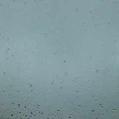 Rain drops in a window