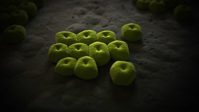 3d animaton of some generic rod shaped bacteria