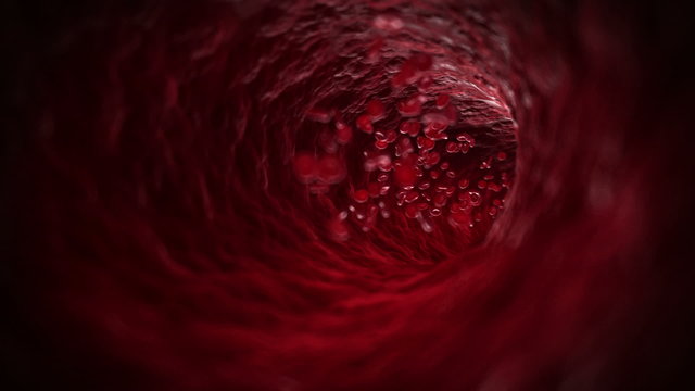 3d animation of bloodcells inside of an artery