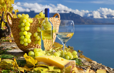 White wine and basket of grapes. Lavaux region, Switzerland