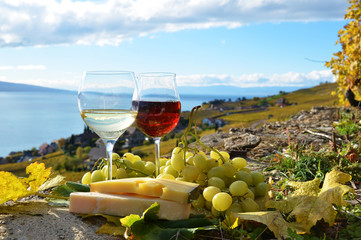 Two wineglasses, cheese and grapes on the terrace of vineyard in