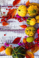 autumn fall background table setting background vegetables fruit