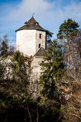Castle ruins on a hill top in Ojcow, Poland