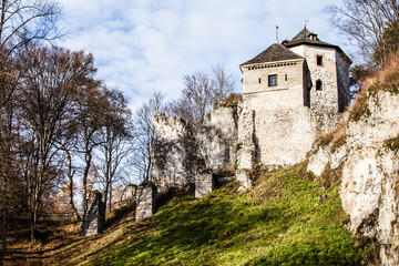 Obraz premium Castle ruins on a hill top in Ojcow, Poland