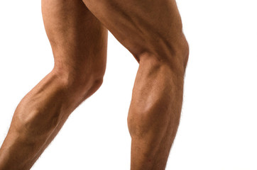 Close up on muscular bodybuilder male legs