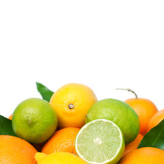 citrus fruits