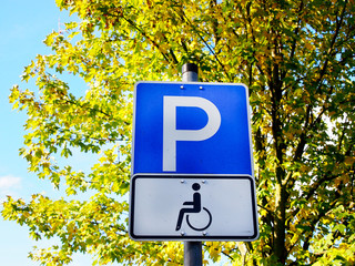 handicapped (18)