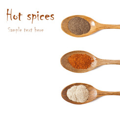 Various of hot spices in wooden spoons