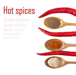 Various of hot spices in wooden spoons