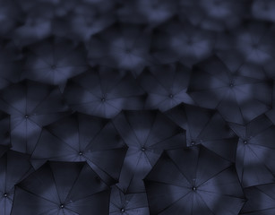 Parasol