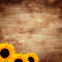 wooden background with the leafs