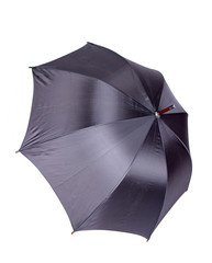 Parasol