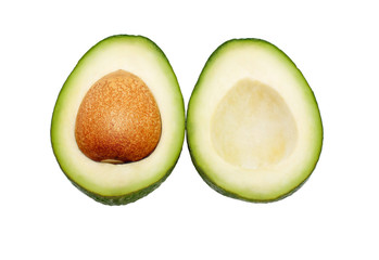 avocado on white background