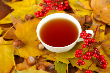 Cup of hot beverage, on yellow leaves background