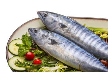 Fresh Atlanticmackerel