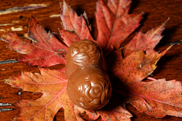 autumn chocolates