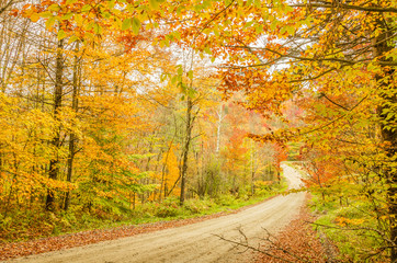 Obraz premium Country Road in Autumn