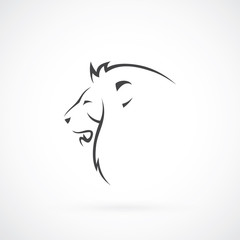 Obraz premium Lion head