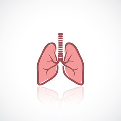 Lungs