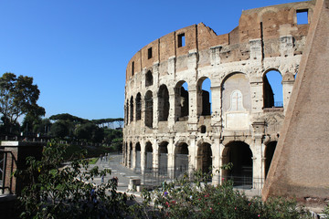 Fototapeta premium Coliseum, Rome, Italy
