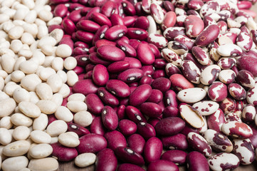 Dried beans in several colors
