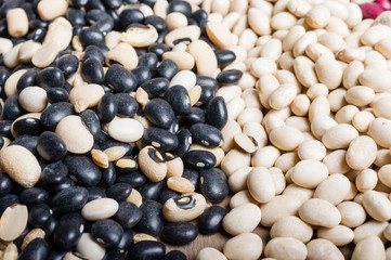 Dried beans in several colors