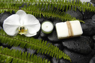stones with green fern and white candle on pebbles