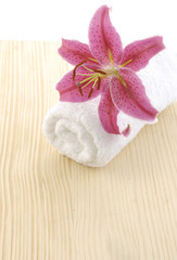 Macro of pink lily and towel