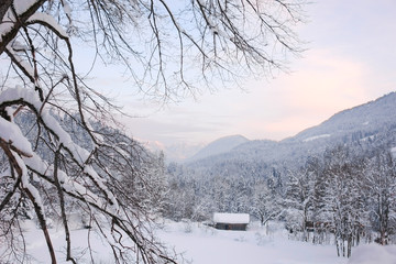 Alpine Sunset VII
