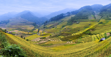 Fototapeta premium Terraced rice fields