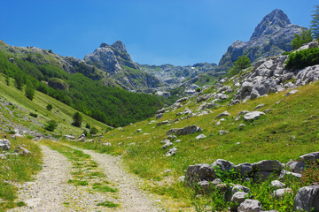 Fototapeta na wymiar Wiejskiej drodze w górach