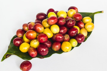 coffee bean and green leaf