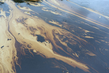 Gulf oil spill is shown on a beach