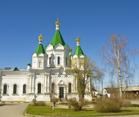 Fototapeta na wymiar Egorevsk, cathedral of Alexander Nevskiy