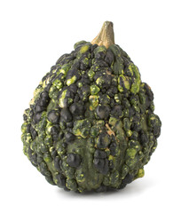 Decorative pumpkins collection isolated on white background