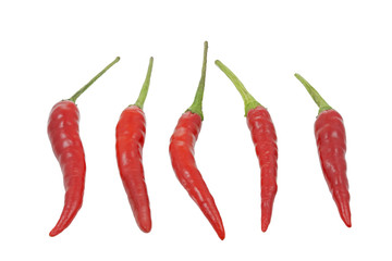 Chilies auf weißem Hintergrund