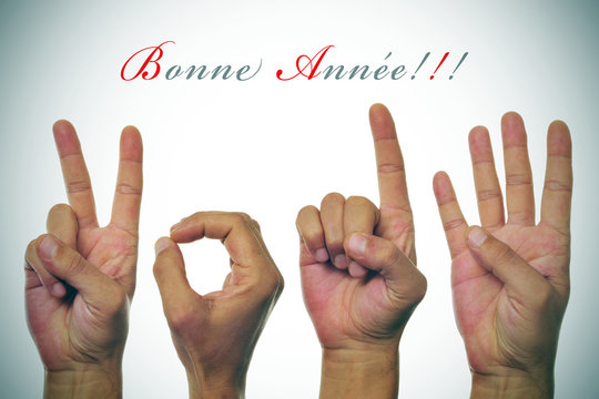 bonne annee 2014, happy new year 2014 written in french
