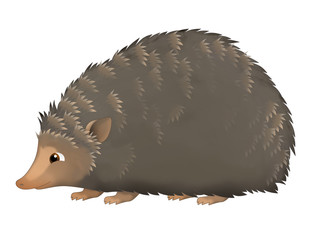 The cartoon hedgehog - illustration for the children © agaes8080