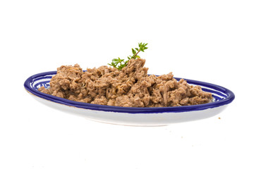 Canned Tuna fillet