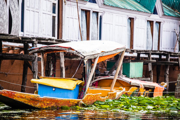 Obraz premium Shikara boat in Dal lake , Kashmir India