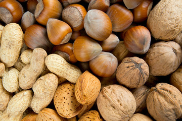 collection of shelled nuts