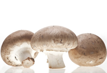 Portabello Mushrooms