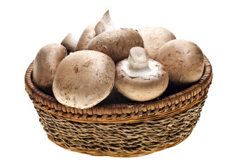 Portabello Mushrooms