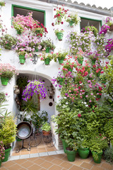 Floral ornament on walls
