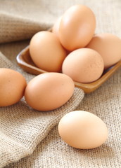 Chicken brown eggs